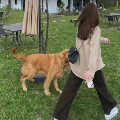 月光光